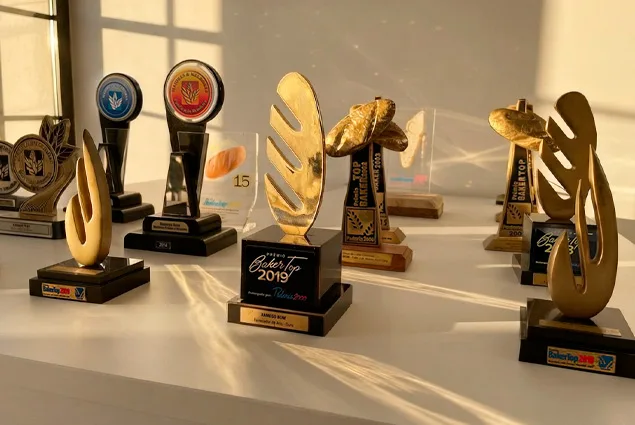 Troféus conquistados pela Xamego Bom, entre eles o Prêmio Baker Top